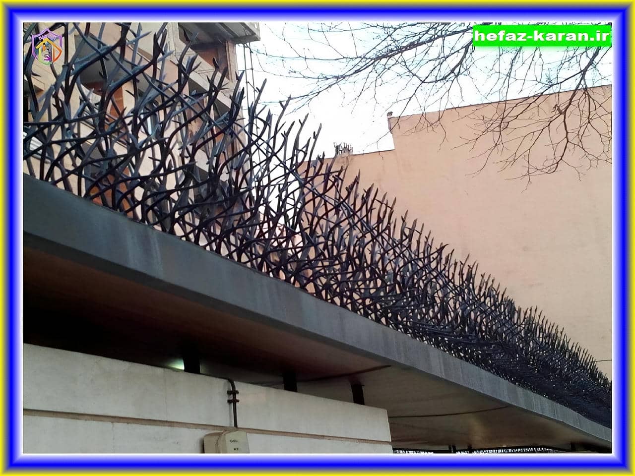 خرید اینترنتی حفاظ شاخ گوزنی