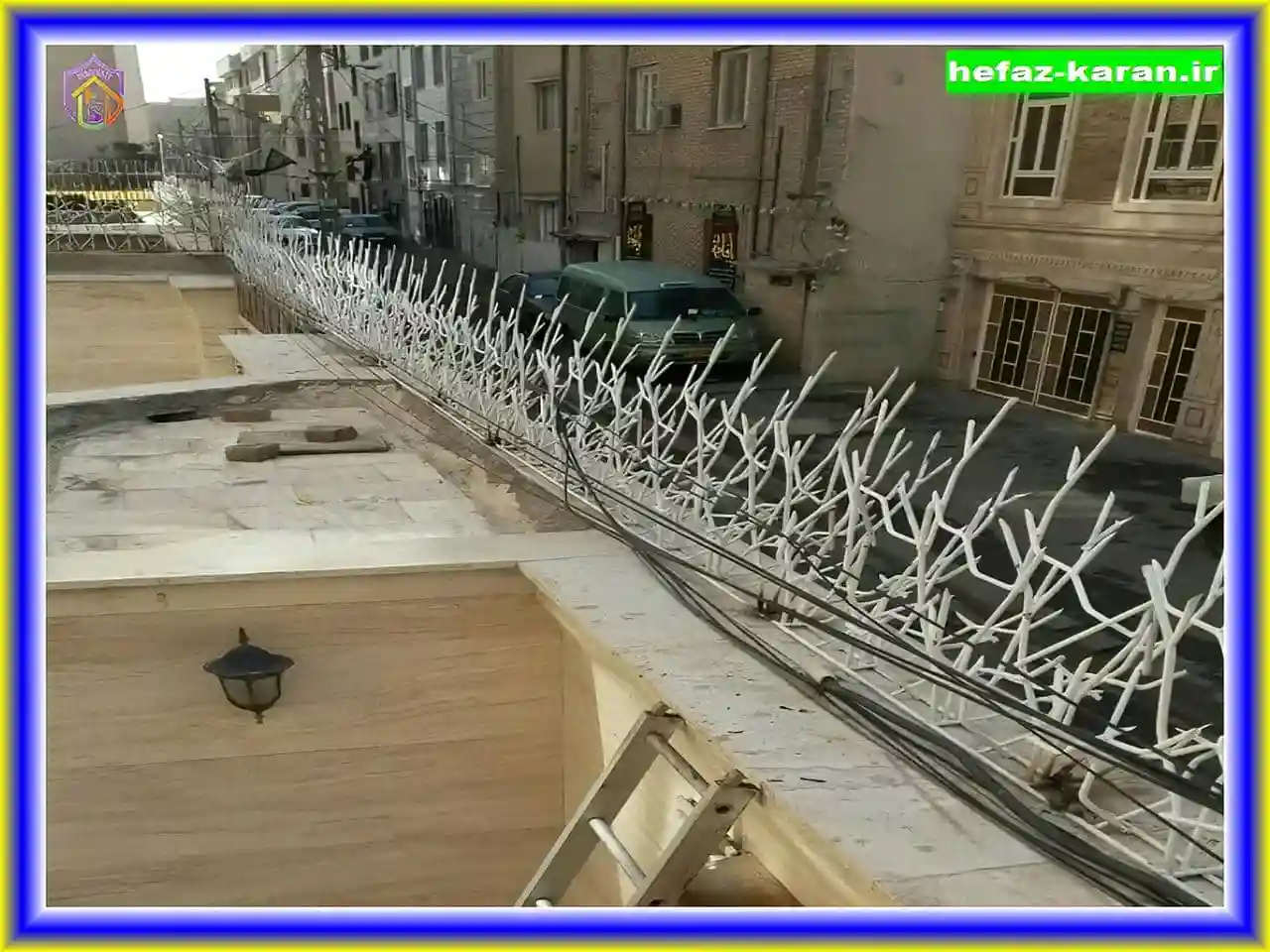 انواع حفاظ شاخ گوزنی و کاربردها انواع حفاظ شاخ گوزنی و کاربردها