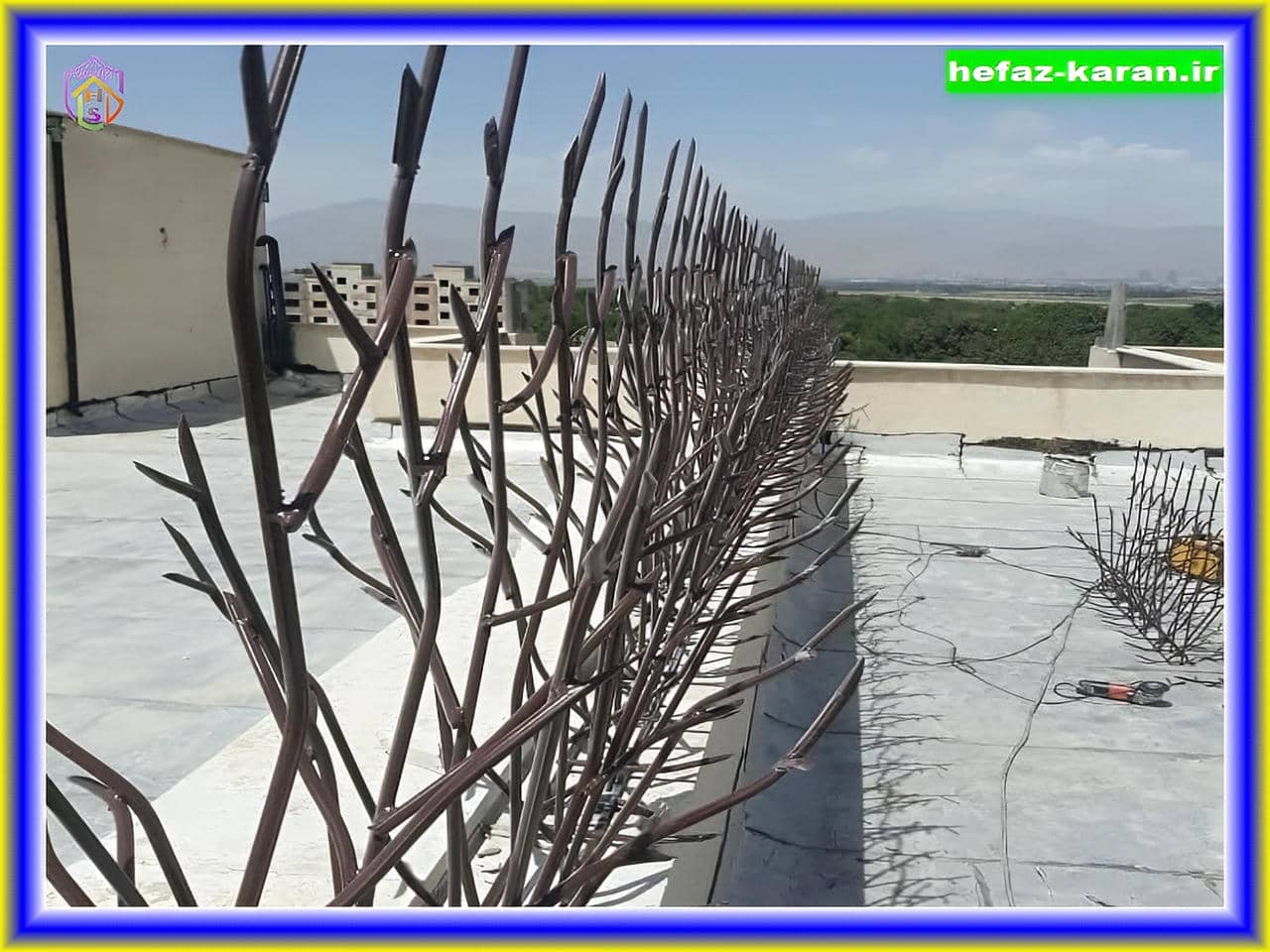 حفاظت دیوارها با شاخ گوزنی حفاظت دیوارها با شاخ گوزنی