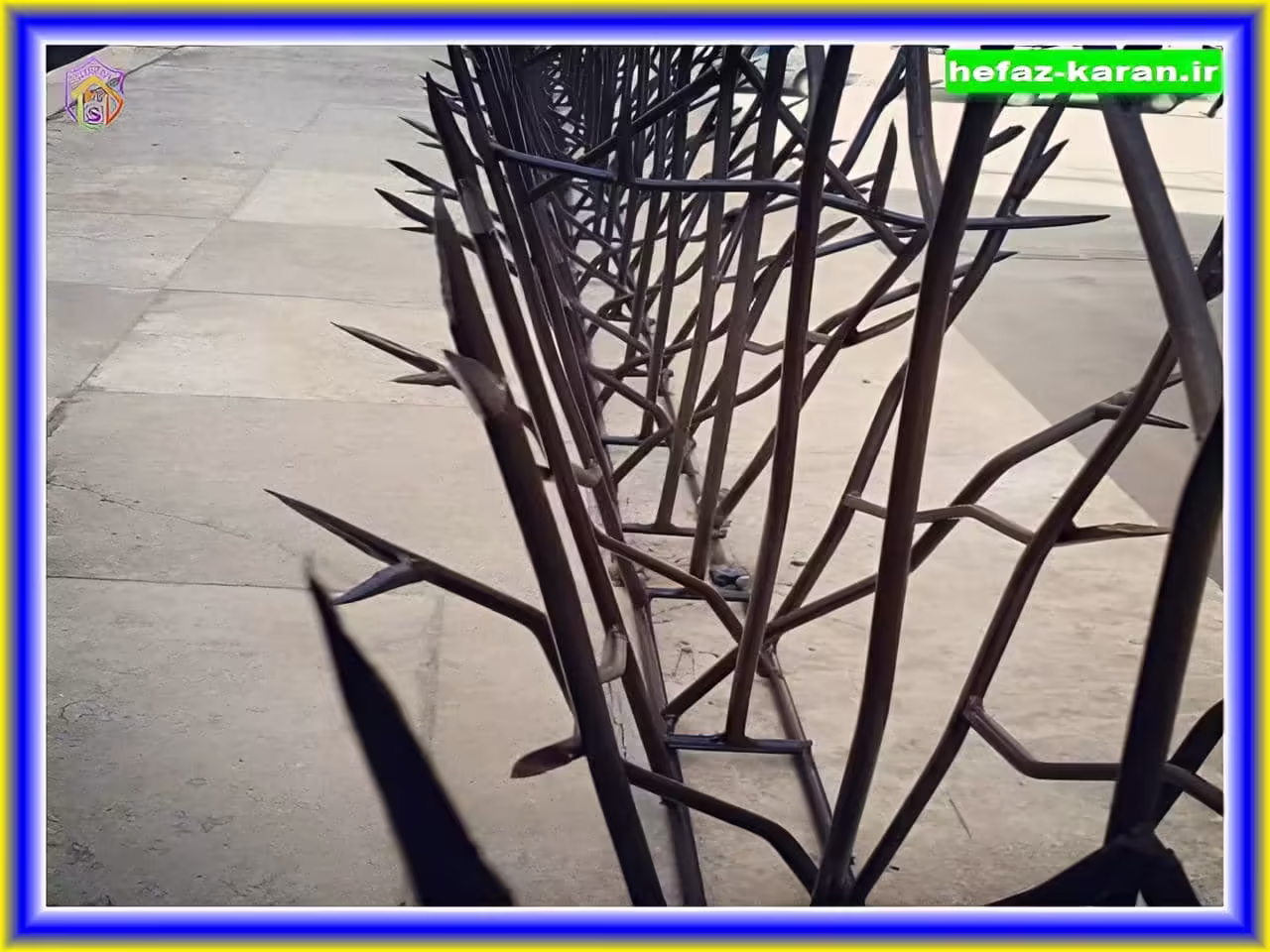 قیمت حفاظ شاخ گوزنی چقدر است؟ قیمت حفاظ شاخ گوزنی چقدر است؟