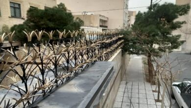 حفاظ لیلیوم
