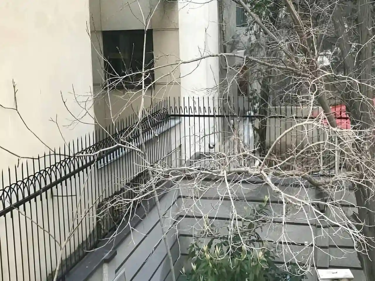 حفاظ سرنیزه ای