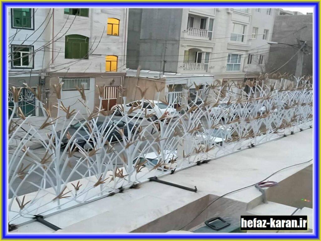 انواع حفاظ لیلیوم