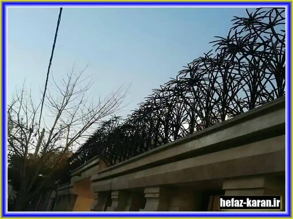 ویژگی ها و کاربردهای حفاظ شاخ گوزنی ویژگی ها و کاربردهای حفاظ شاخ گوزنی