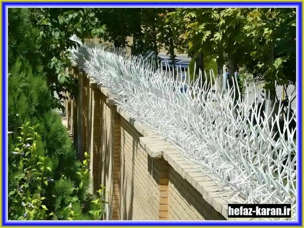 دلایلی برای انتخاب حفاظ شاخ گوزنی دلایلی برای انتخاب حفاظ شاخ گوزنی