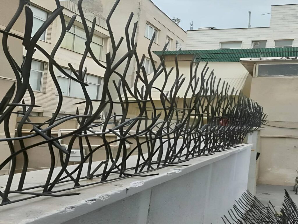 حفاظ شاخ گوزنی حفاظ شاخ گوزنی