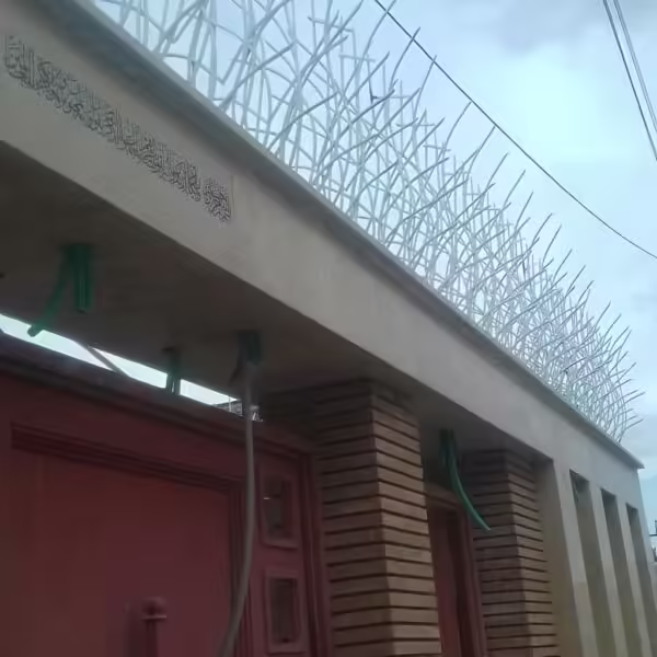 حفاظ بوته ای تراکم 53 قیمت