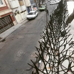 حفاظ بوته ای تراکم 67