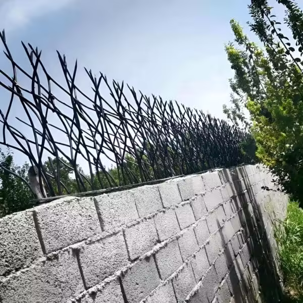 بهترین حفاظ دیوار