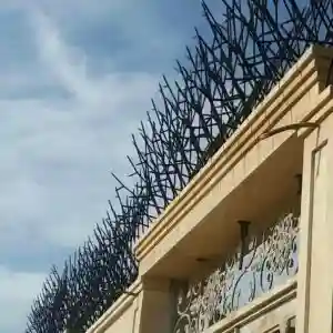 خرید و تولید حفاظ شاخ گوزنی