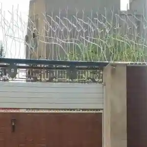 انواع مدل حفاظ شاخ گوزنی