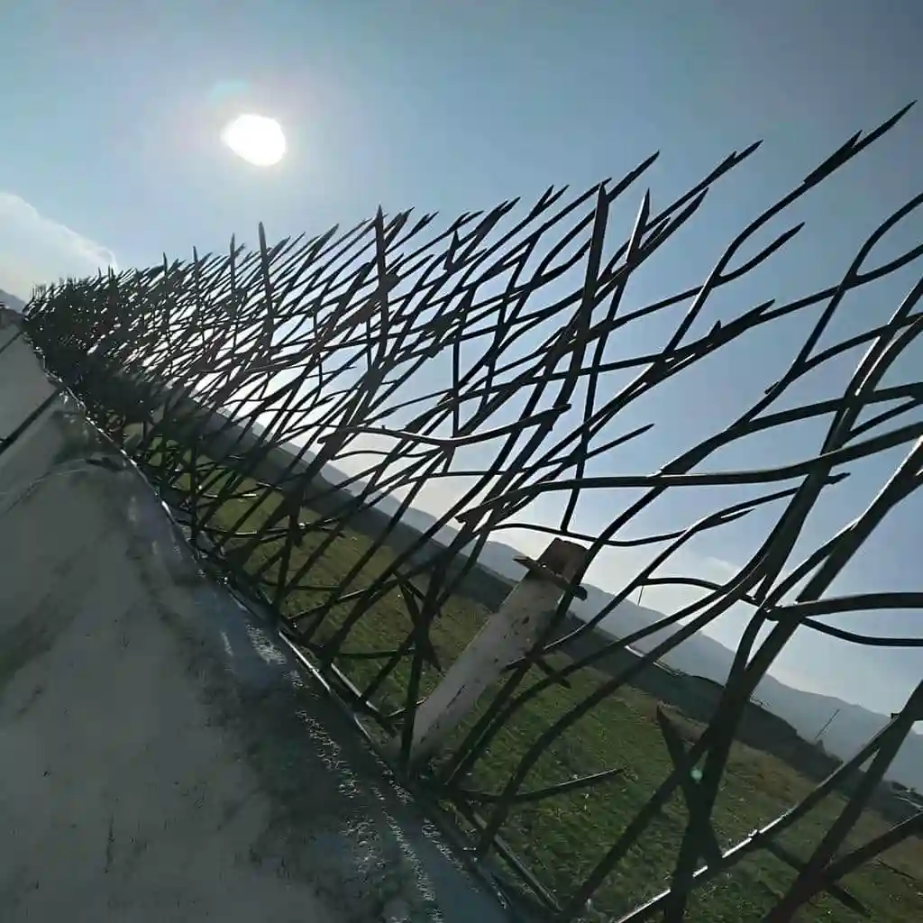 عرض حفاظ شاخ گوزنی