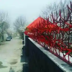 مشخصات حفاظ شاخ گوزنی