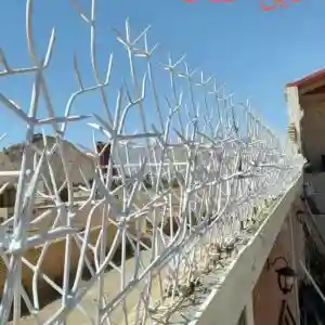 راهنمای خرید حفاظ شاخ گوزنی