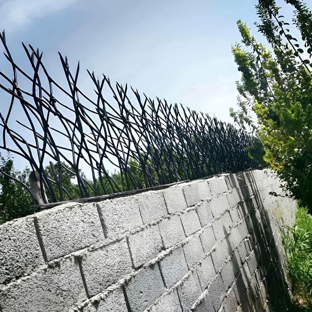 بهترین حفاظ دیوار