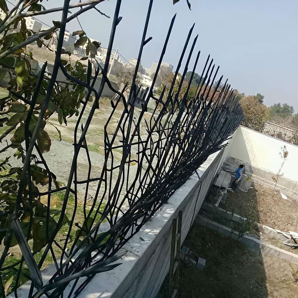 حفاظ شاخ گوزنی تراکم 31