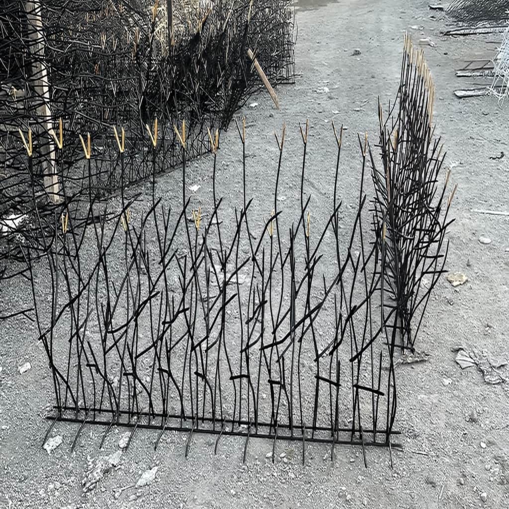 قیمت حفاظ غنچه ای