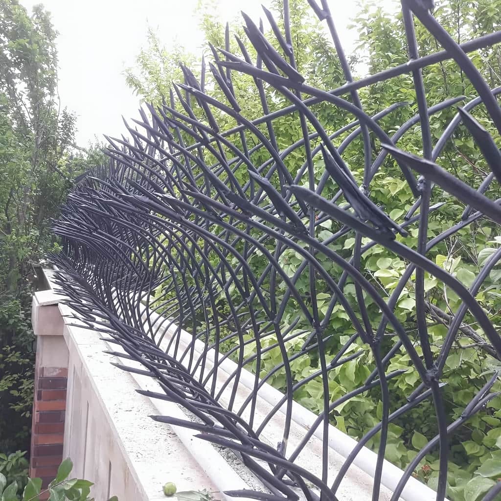 نصب حفاظ غنچه ای