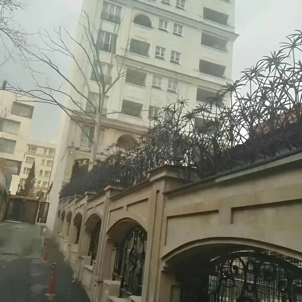 حفاظ دیوار نخل مرداب