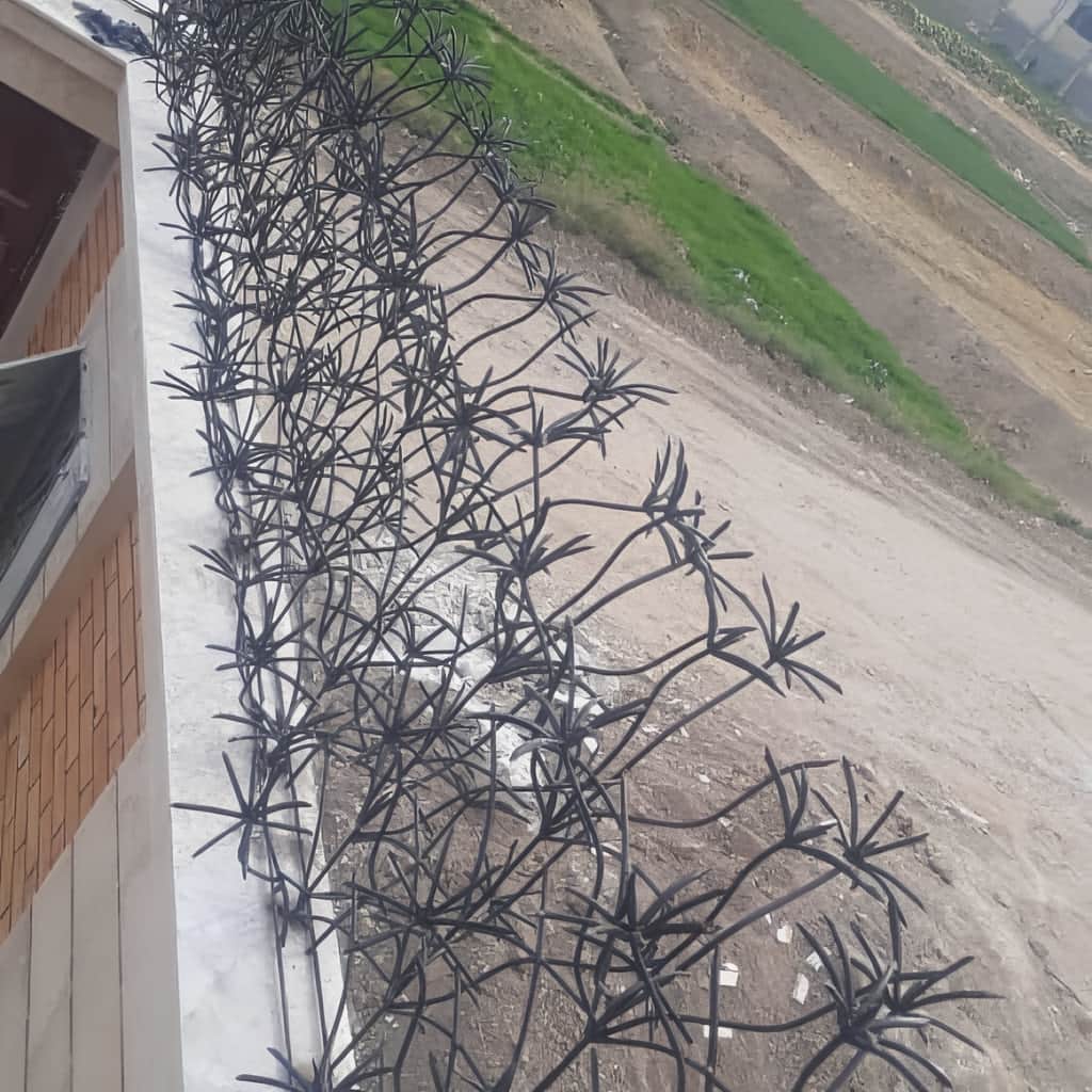 نصب حفاظ نخل مرداب