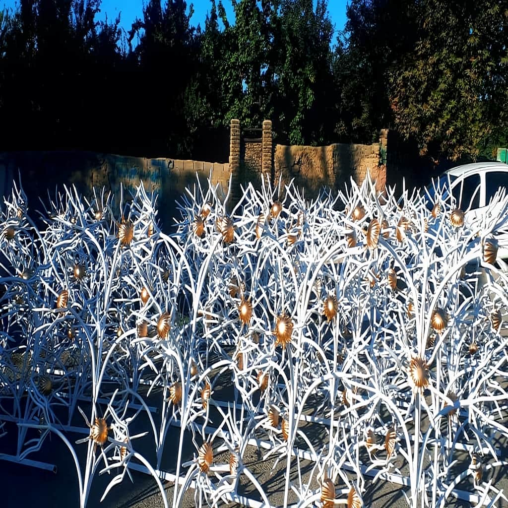 حفاظ دیوار گل آفتابگردان