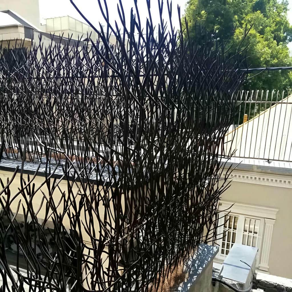 حفاظ شاخ گوزنی در بابل
