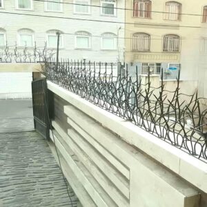 حفاظ شاخ گوزنی در ساری