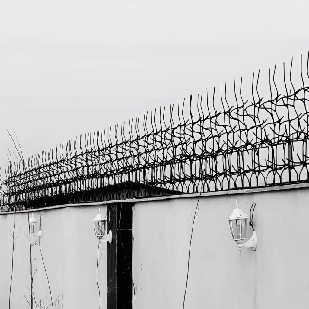 خرید حفاظ شاخ گوزنی متراکم در سیرجان