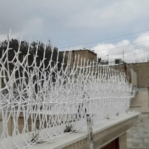 حفاظ شاخ گوزنی در قم