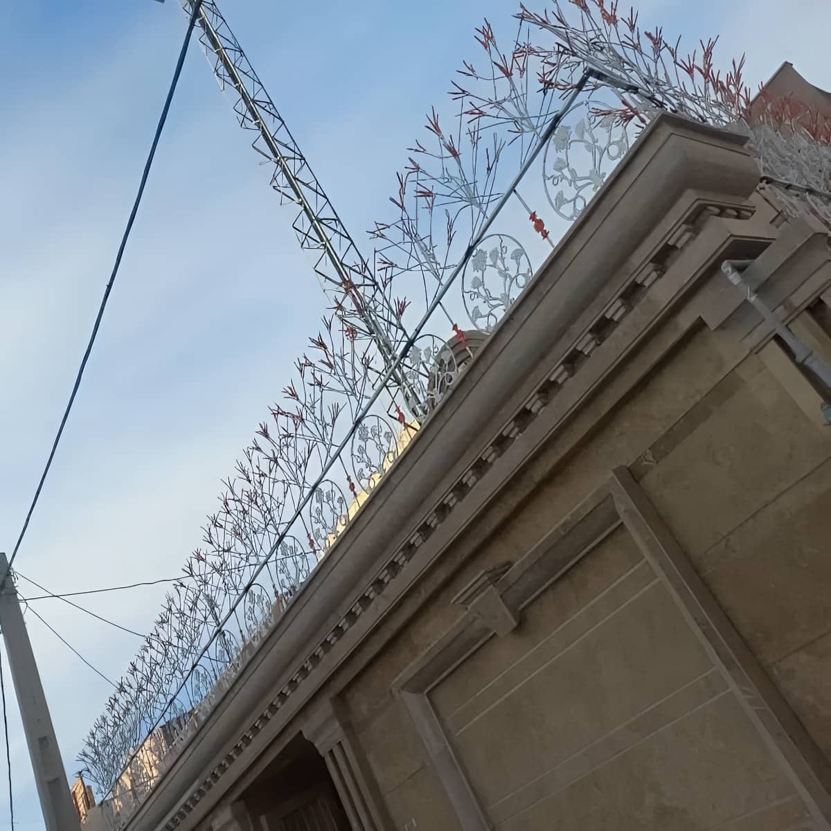 حفاظ شاخ گوزنی در اهواز