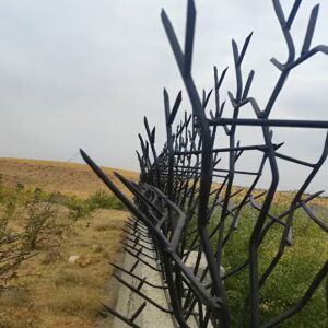حفاظ شاخ گوزنی در عظیمیه کرج
