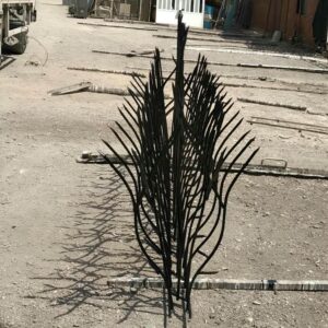 حفاظ شاخ گوزنی در اشتهارد