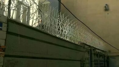 حفاظ شاخ گوزنی در استان مازندران
