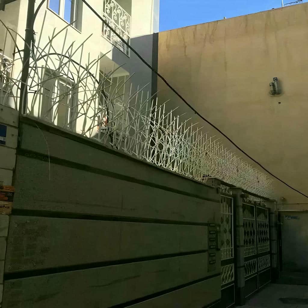 حفاظ شاخ گوزنی در استان مازندران