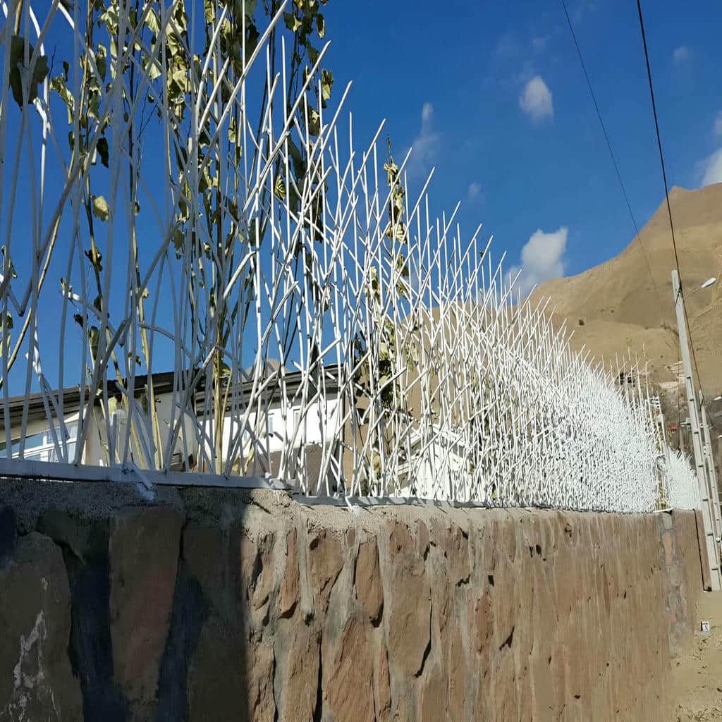 حفاظ شاخ گوزنی در بومهن