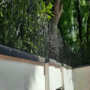 حفاظ شاخ گوزنی در شیراز