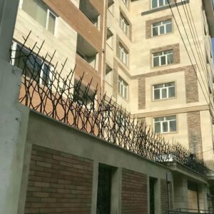 حفاظ شاخ گوزنی در ایلام