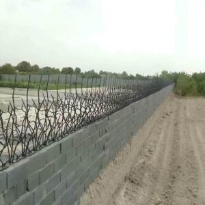 حفاظ شاخ گوزنی در آمل