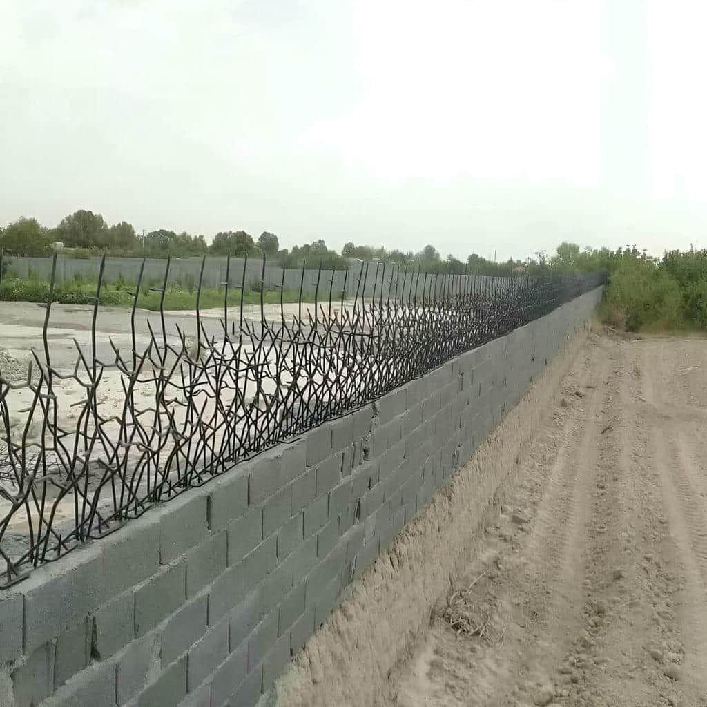 حفاظ شاخ گوزنی در آمل