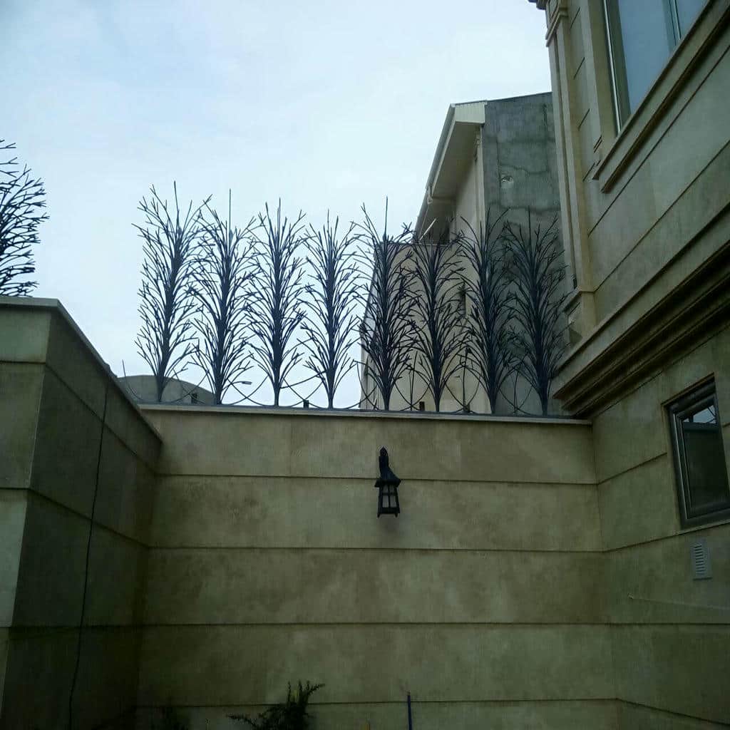 حفاظ شاخ گوزنی در کاشان