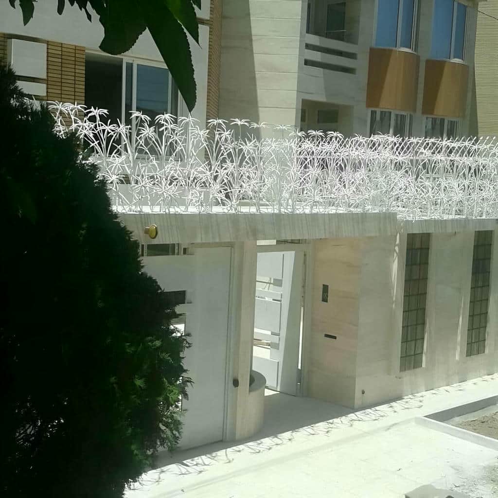 حفاظ شاخ گوزنی در قائمشهر