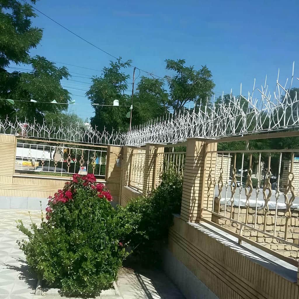 خرید حفاظ شاخ گوزنی مدرن در چالوس