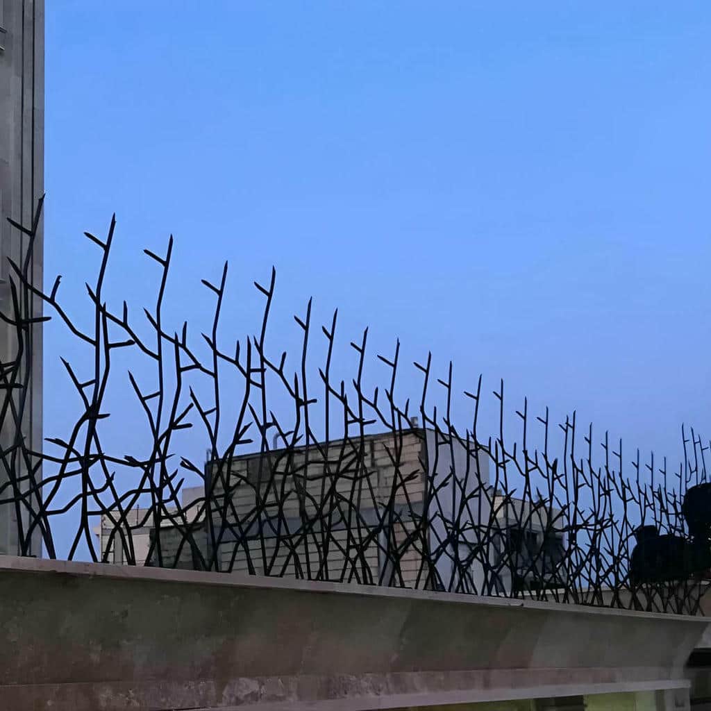 حفاظ شاخ گوزنی در کردان
