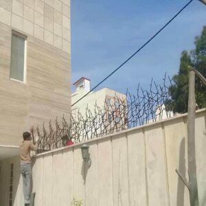 حفاظ شاخ گوزنی در اراک