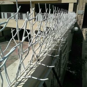 حفاظ شاخ گوزنی در بوشهر