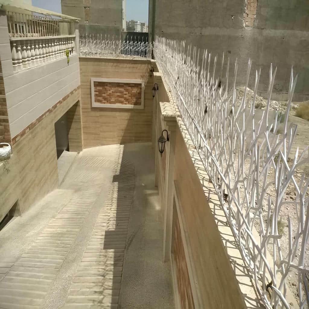 نصب حفاظ شاخ گوزنی کنترل شده در استان گیلان