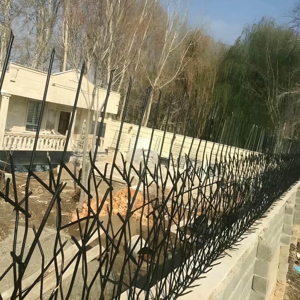 خرید حفاظ شاخ گوزنی متراکم در عظیمیه کرج