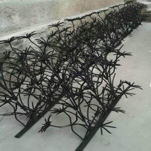 حفاظ شاخ گوزنی در لواسان