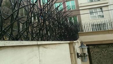 حفاظ شاخ گوزنی در اندیشه