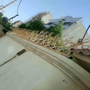 حفاظ شاخ گوزنی در پردیس